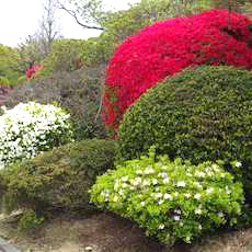 久留米百年公園