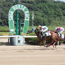 競馬場